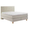 Asko Bonnell Dreamflow (jenkkisänky vyöhyke 160x200cm medium beige (sis. 6cm älyvaahto pp + pikkuruutu pääty))