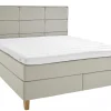 Asko Bonnell Dreamflow (jenkkisänky vyöhyke 160x200cm medium/hard beige (sis. 6cm älyvaahto pp + isoruutu pääty))