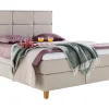 Asko Bonnell Dreamflow (jenkkisänky vyöhyke 160x200cm hard beige (sis. 6cm älyvaahto pp + isoruutu pääty))