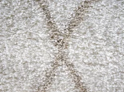 Salsa (matto 160x230cm valkobeige)