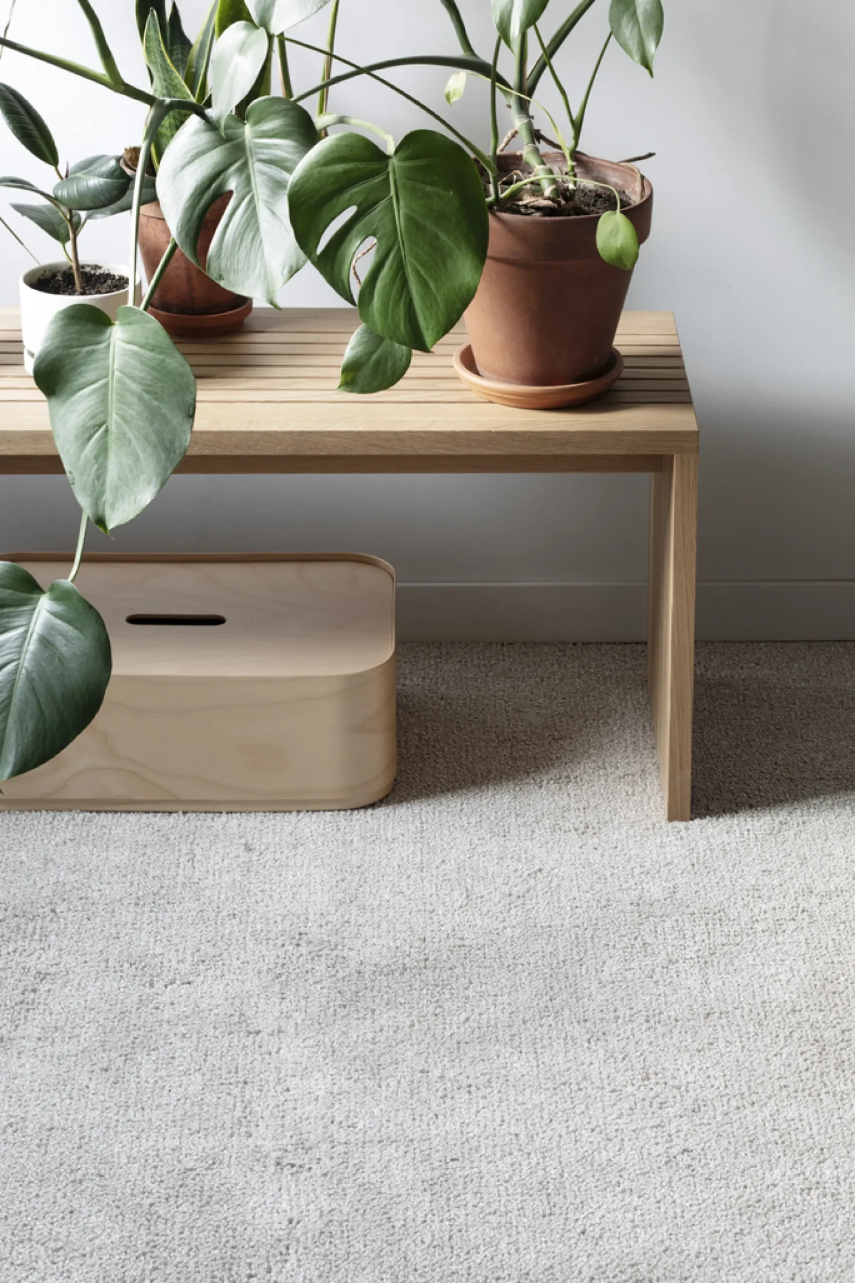 Viita (beige 240x340 cm matto)